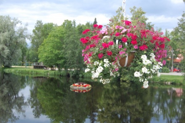 s_4591.jpg