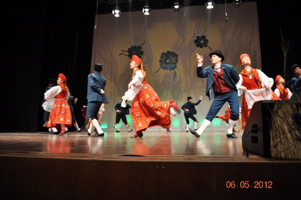 DSC_0541-vi.jpg